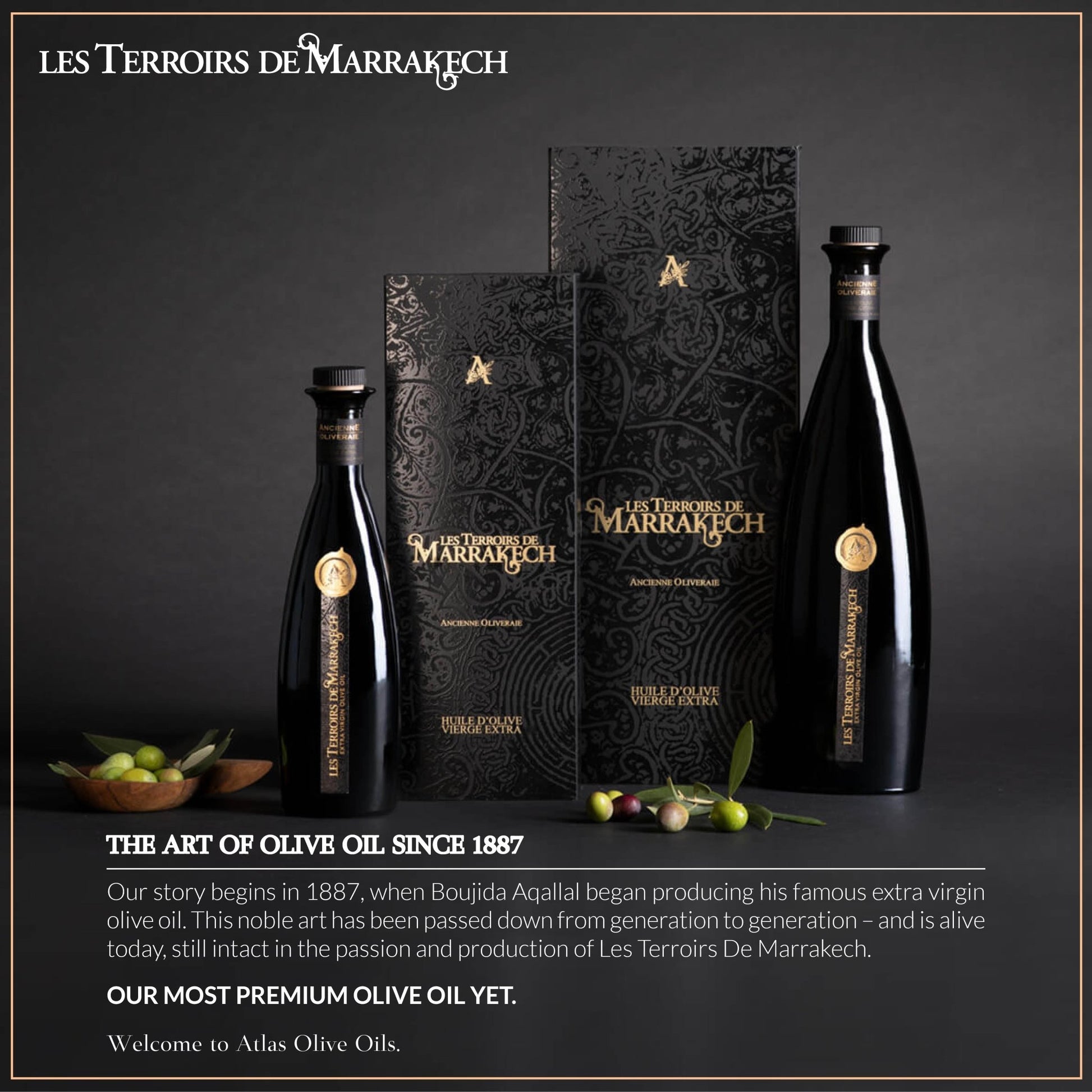 Les Terroirs De Marrakech - Ultra Premium, Cold First Pressed, Extra Virgin - Atlas Olive Oil - Olive Oil - Simply Gourmet